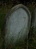 image of grave number 363090